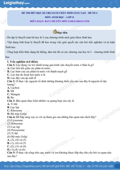 Đề thi học kì 1 Sinh 11 Chân trời sáng tạo - Đề số 4